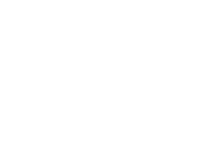 Engineering model development